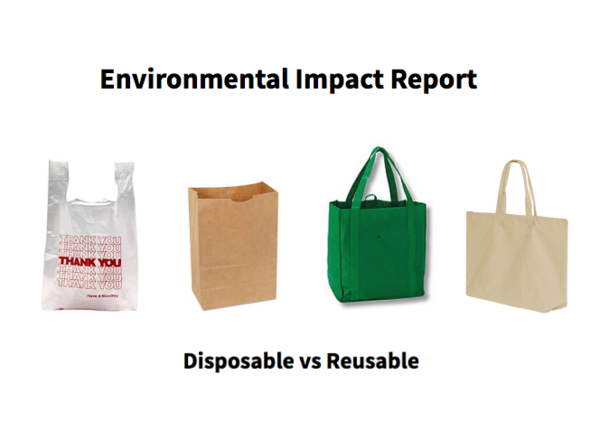 Reusable vs. Disposable Bags: What's Better for The Environment? - Plastic  EDU