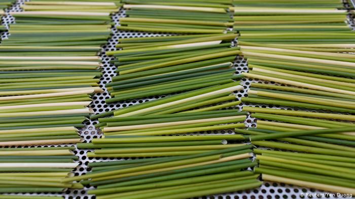 Straws laid out to dry (Reuters/Yen Duong)