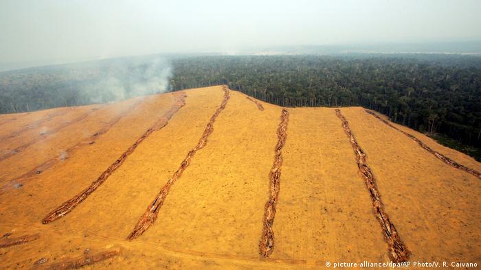 Large fields of soy are seen near the city of Santarem in the Brazilian state of Para 