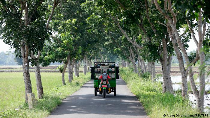 Raden Roro Hendarti driving her three-wheeler vehicle along a rural road.