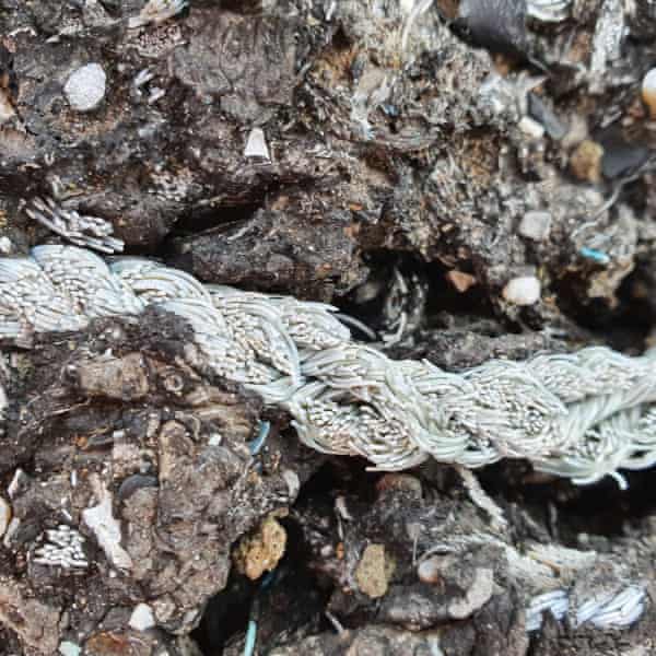 A close-up of tar containing tiny pieces of plastic as well as a strand of nylon ope 