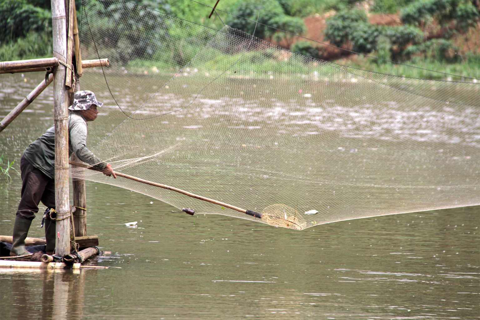Kuswara uses a net to catch fish