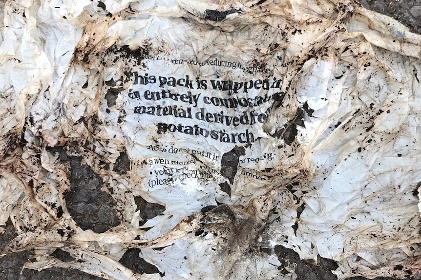 A dirty white plastic bag that's beginning to disintegrate