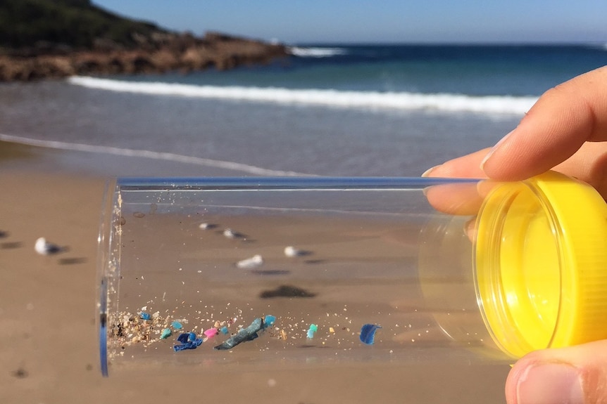 A close-up of a specimen jar with sand and specs of coloured plastic, with a calm blue ocean in the background