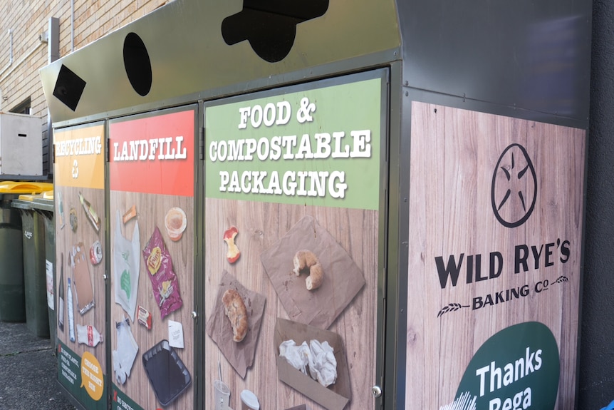 Bins for landfill, compost and recycling with picture examples displayed on the bin