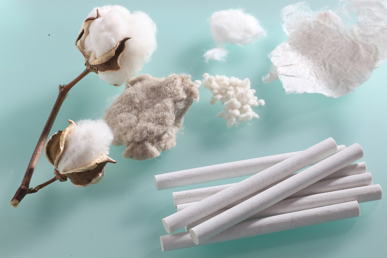 Ingredients that go into a biodegradable cigarette.