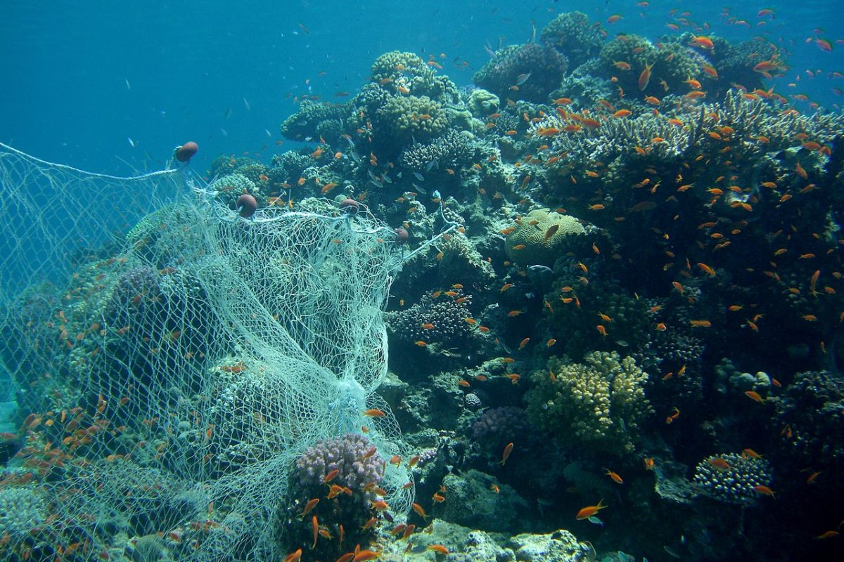 Marine debris like ghost nets continue to pose a threat to marine wildlife 
