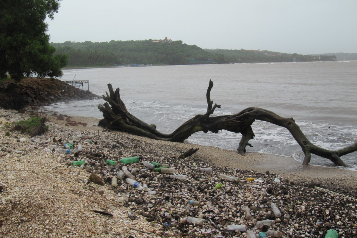 The dependence on disposal plastic has contributed to the marine debris in the ocean. Photo by Hajj0 ms/Wikimedia Commons