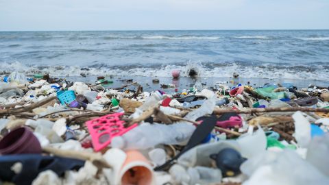 Plastic pollution on a beach in Honduras.