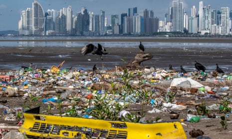 Vultures look for food among rubbish, including plastic waste, strewn on a beach near the Costa del Este neighbourhood in Panama City.