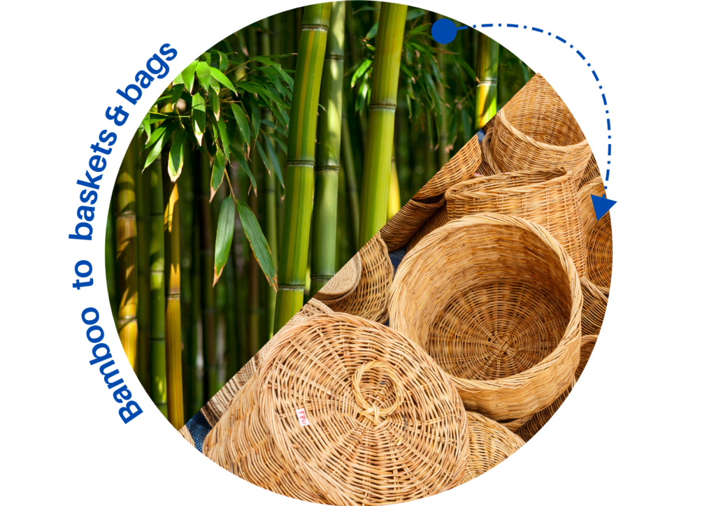 Bamboo-bamboo products - Plastic Education