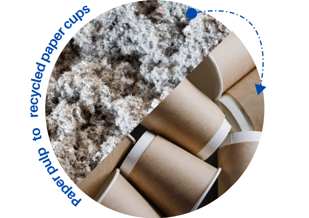 Paper pulp-recycled paper cups - Plastic Education