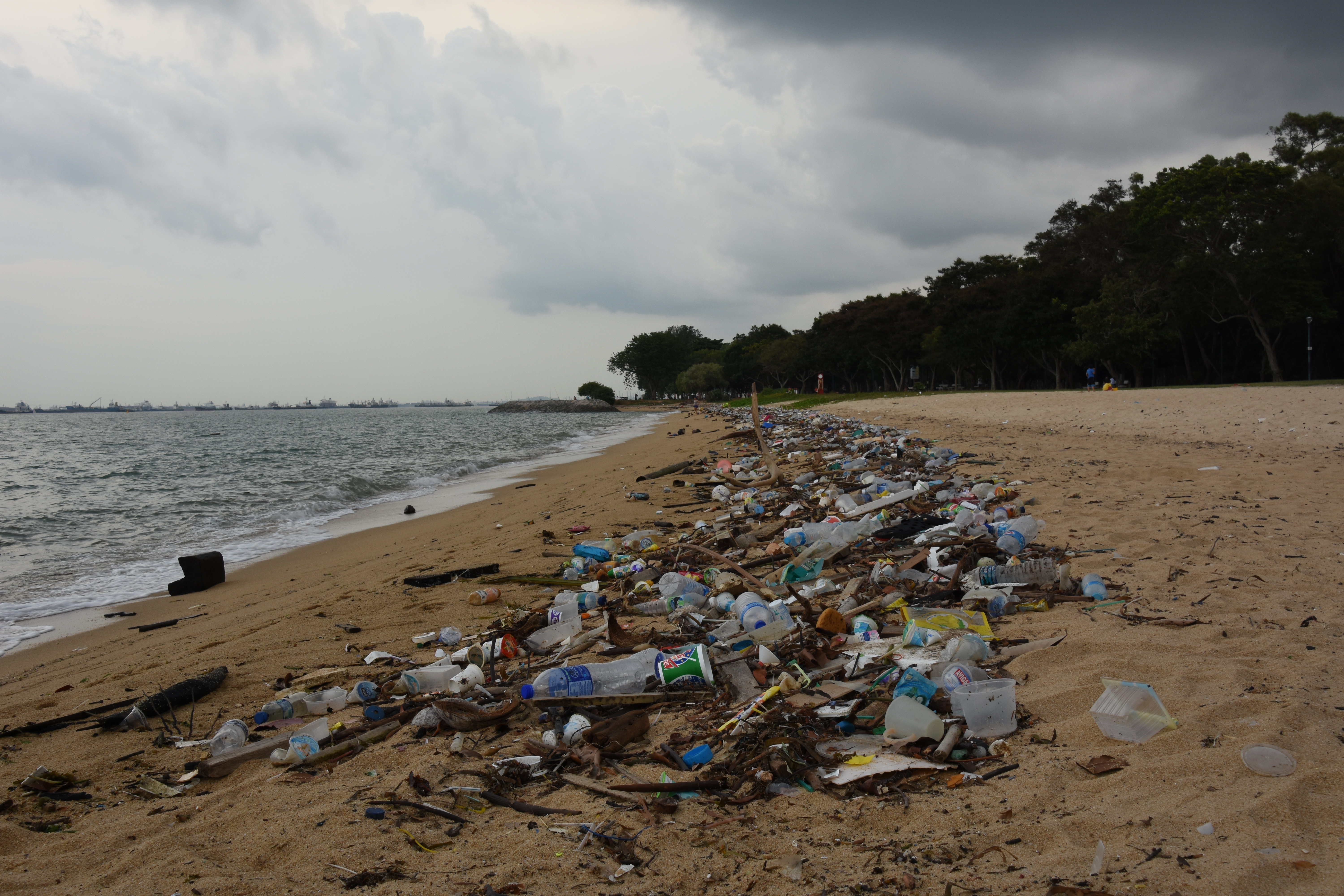 Plastic waste on beach - Plastic footprint