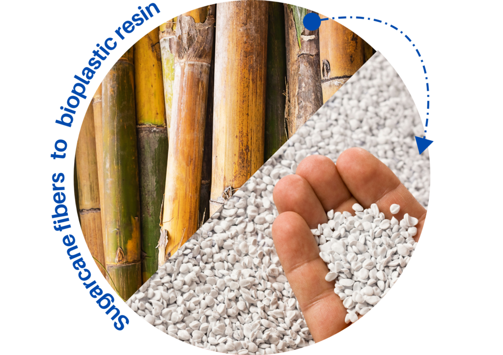 Sugarcane-bioplastic-Plastic Education