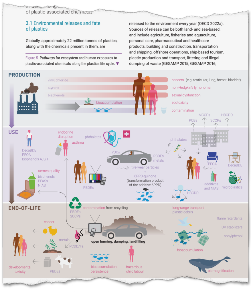 This graphic shows the pathways for human and ecosystem exposure to chemicals that are in plastics. It’s from “Chemicals in Plastics,” a May 2023 report by the United Nations Environment Program. Credit: UNEP and Secretariat of the Basel, Rotterdam and Stockholm Conventions.